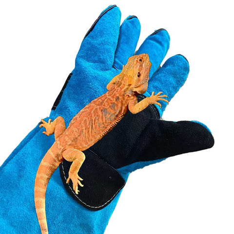 Haulonda Bite-Proof Gloves heat-resistance layer for high-heat tasks