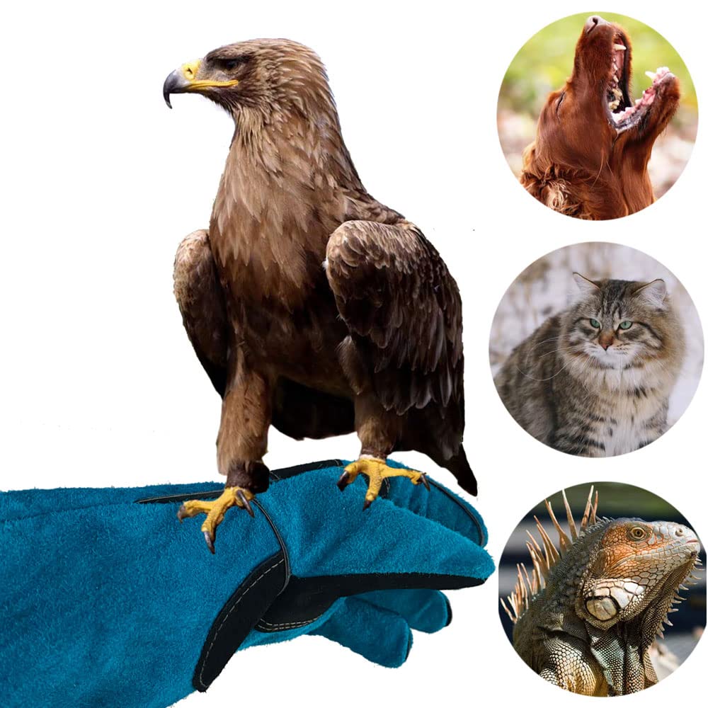 Haulonda Bite-Proof Gloves puncture resistance aids safe animal handling
