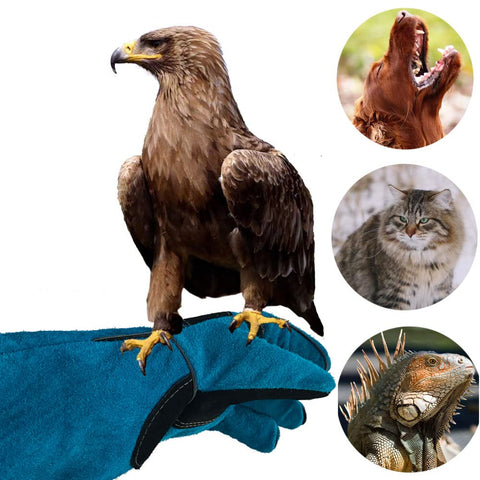 Haulonda Bite-Proof Gloves puncture resistance aids safe animal handling
