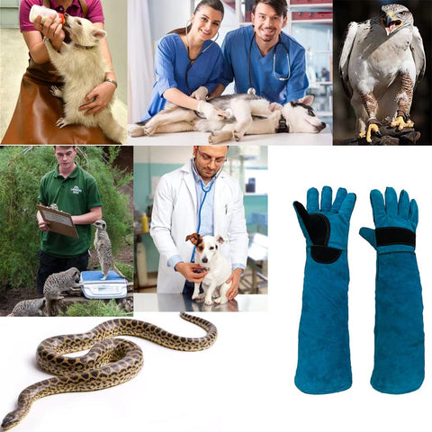 Haulonda Bite-Proof Gloves use scenario demonstrates practical protection