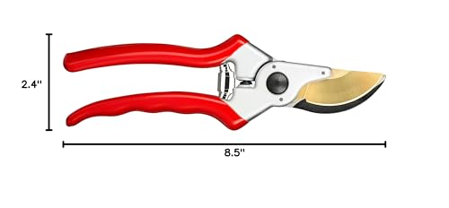 Haus & Garten ClassicPRO professional-grade pruning tool in garden