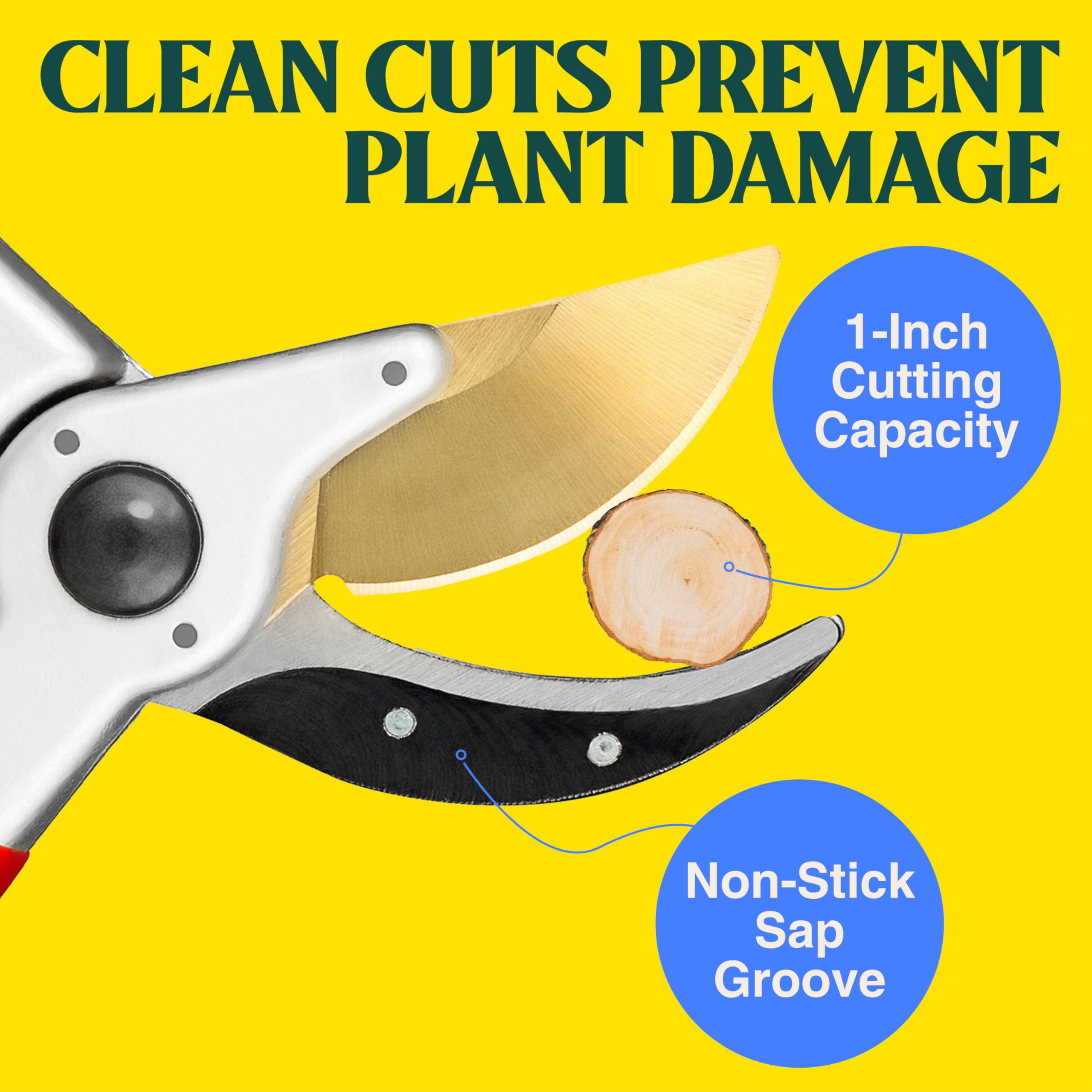 Haus & Garten EnduroPRO pruner rose pruning for healthy blooms