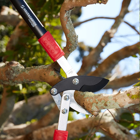 Haus & Garten PowerPRO loppers help tackle dense vines and shrubs.