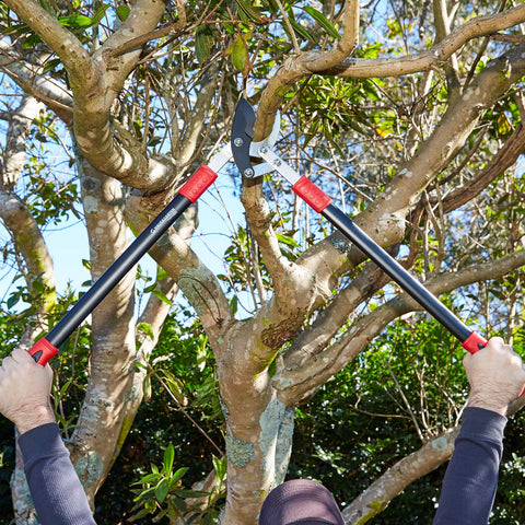 Haus & Garten PowerPRO loppers stay clean after pruning thanks to coating.