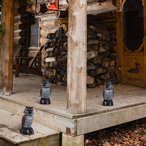 Hausse decorative owl decoy with spring movement creates lifelike deterrence.