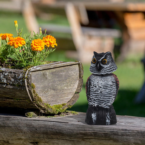 Hausse small owl statue protects trees and fruit from birds.