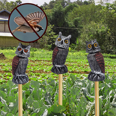 Hausse decorative outdoor owl enhances a porch while protecting crops.