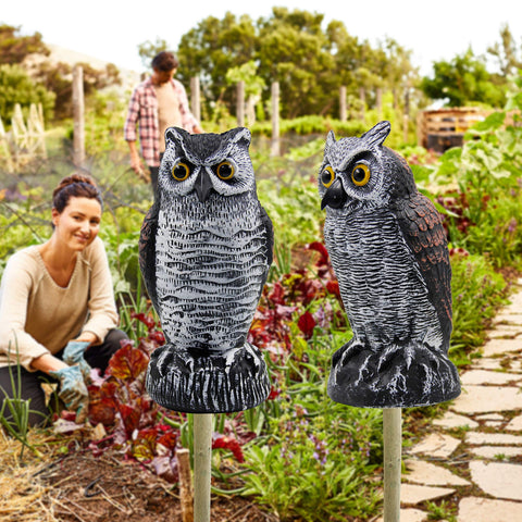 Garden decor with Hausse horned owl decoy enhances outdoor aesthetics while deterring pests.