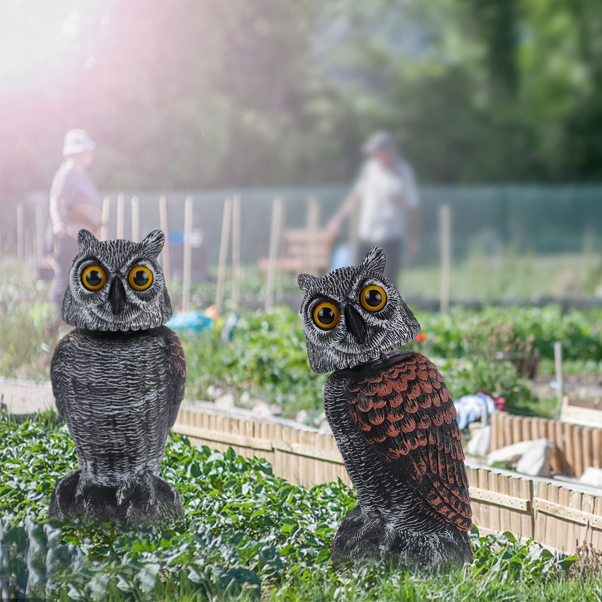 Hausse owl decor for indoor display or outdoor decor.