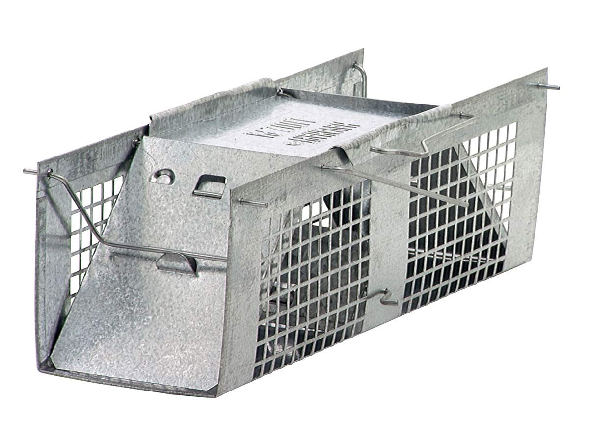 HAVAHART 1020 two-door trap cage front view for secure capture of mice or rats.