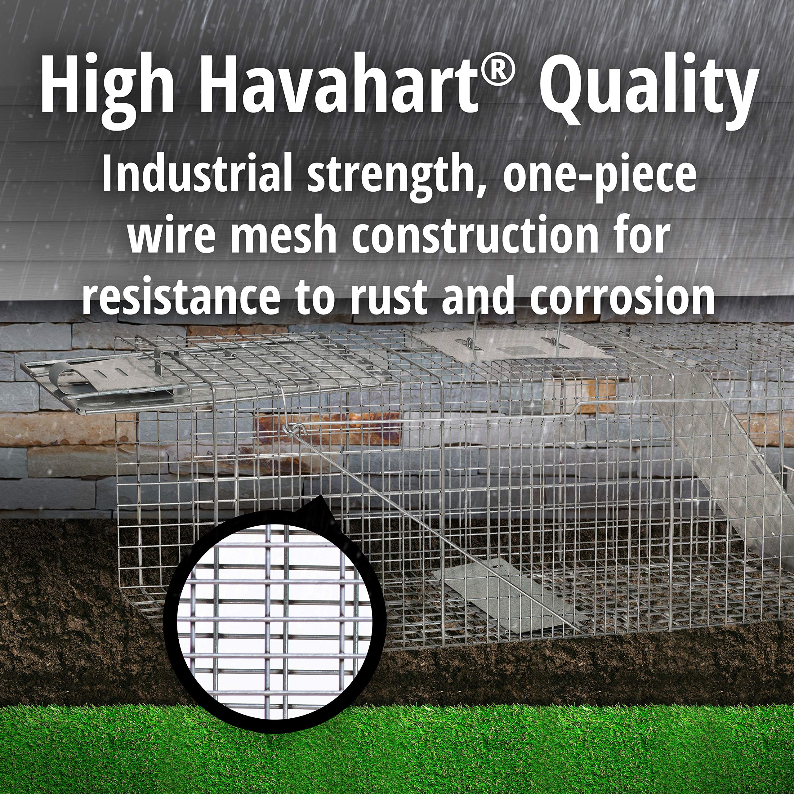 HAVAHART 1045SR solid door with guard for safe transport.