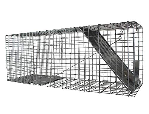 HAVAHART 1079SR large-capacity cage fits raccoons and other medium wildlife.