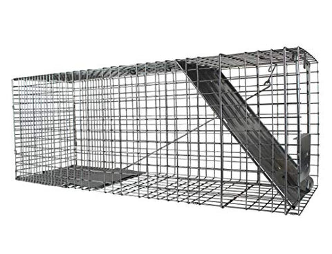 HAVAHART 1079SR large-capacity cage fits raccoons and other medium wildlife.