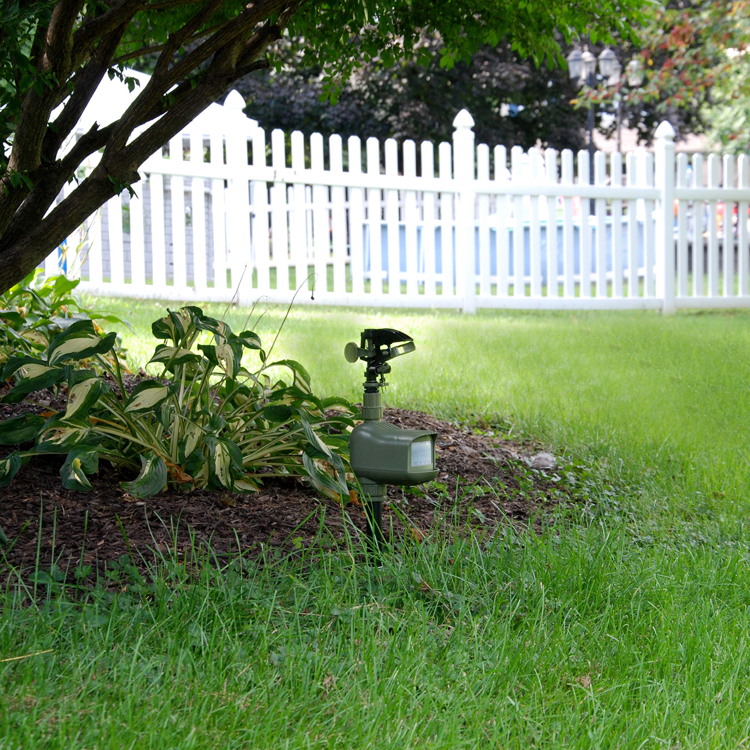 HAVAHART Critter Ridder yard-setup demonstrates placement around plants
