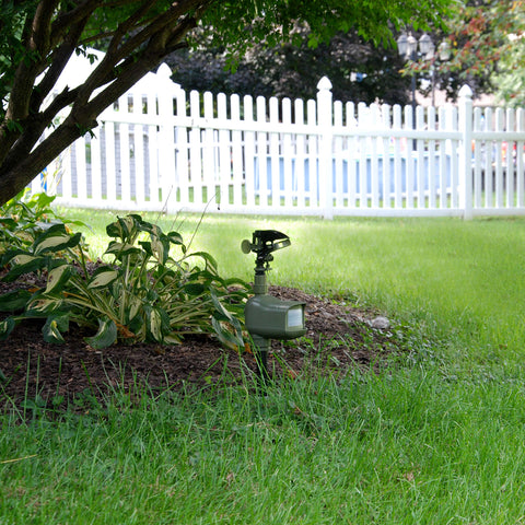 HAVAHART Critter Ridder yard-setup demonstrates placement around plants