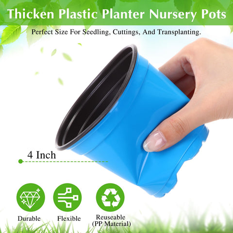 Havawish 4-inch purple nursery pot for organized seedling identification.