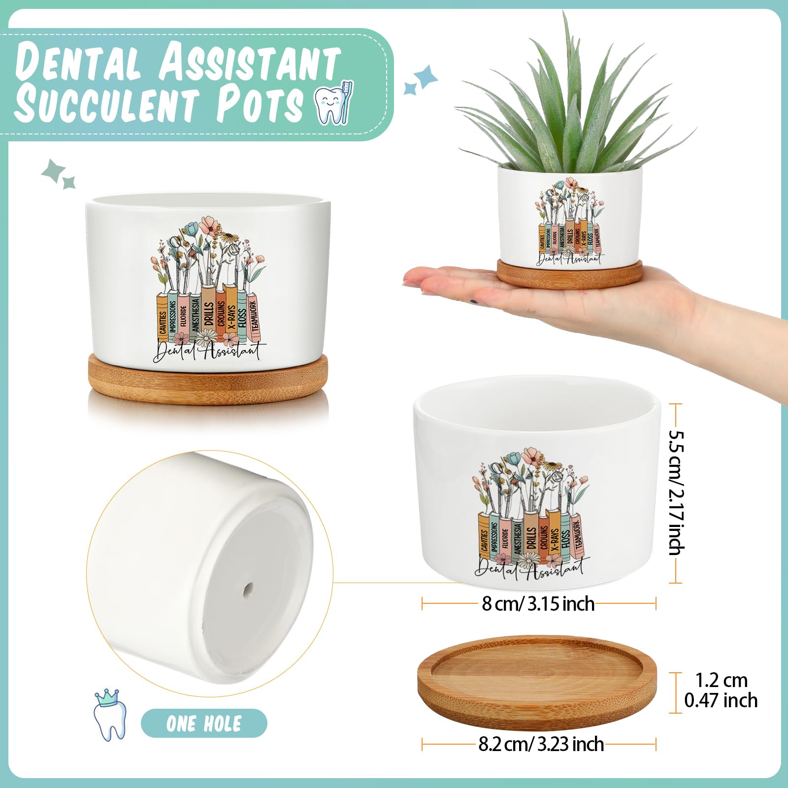 Havawish dental office decor pots highlighting white ceramic design