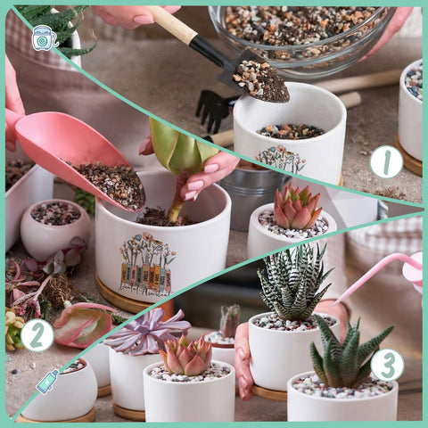 Havawish mini dental assistant gift pots with tooth-themed patterns