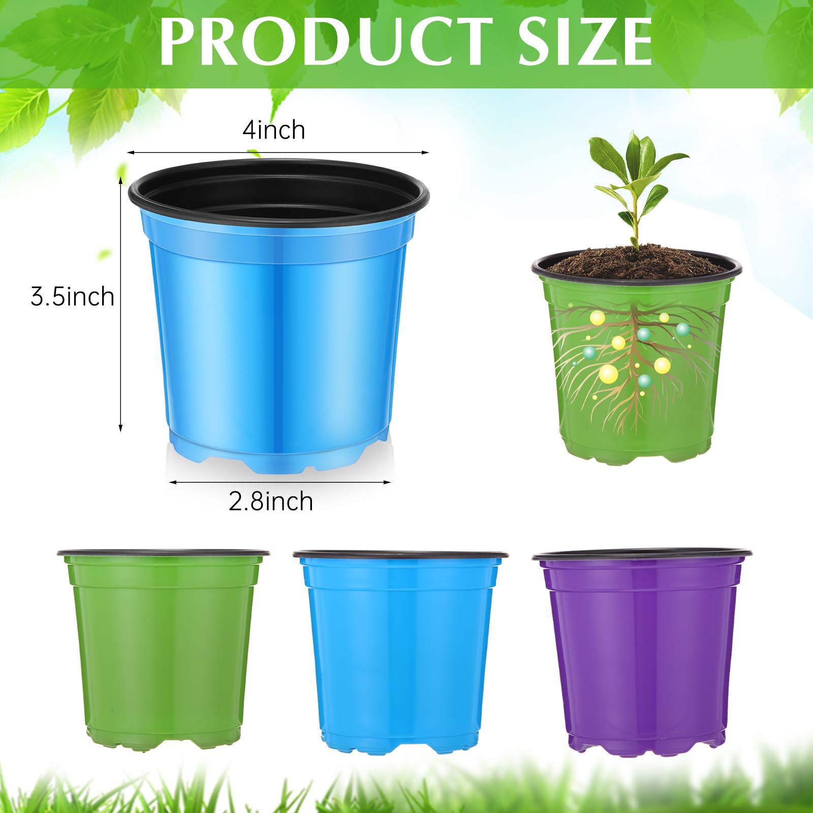 Havawish multi-color seedling set aids color-coded planting and easy seed tracking.