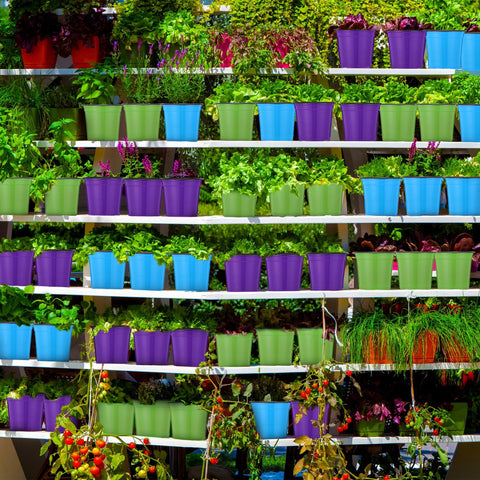Havawish thickened plastic seed pot resists deformation during handling.