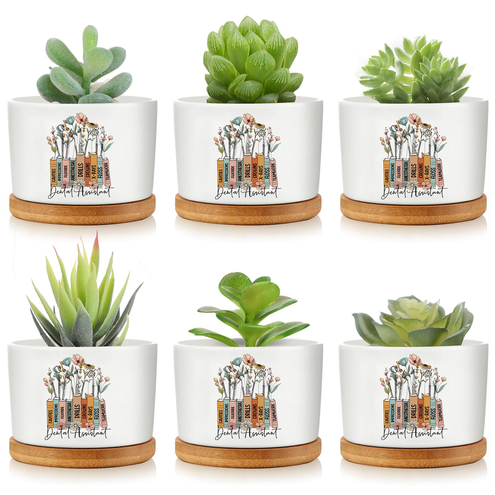 Havawish tooth-themed mini ceramic pot for desks; ideal desk decor and plant display
