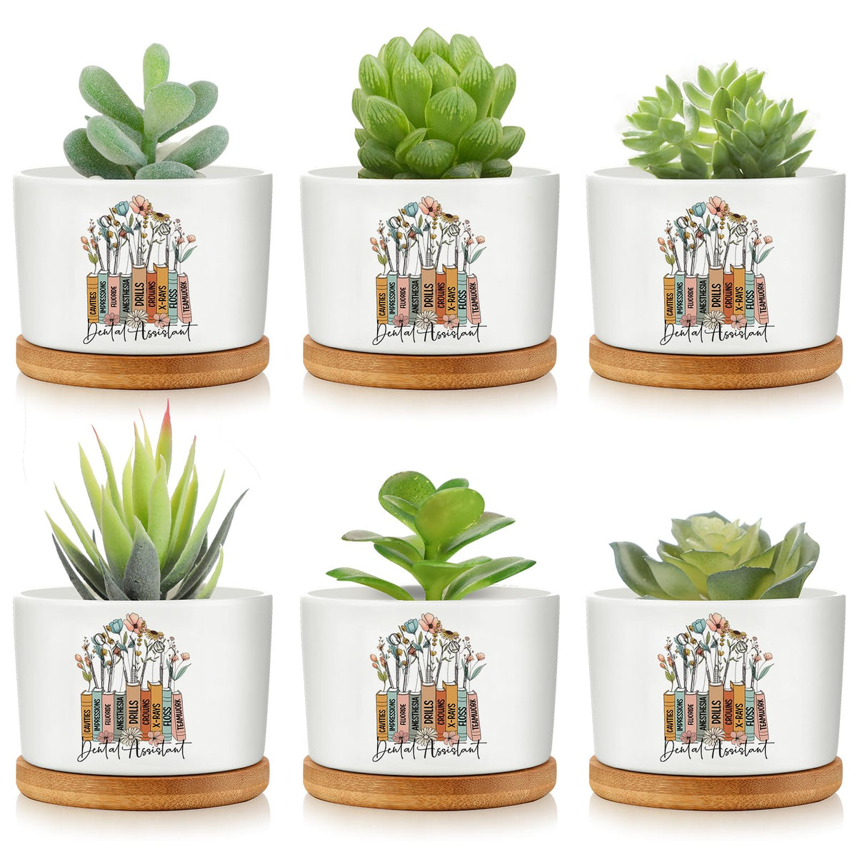 Havawish tooth-themed mini ceramic pot for desks; ideal desk decor and plant display