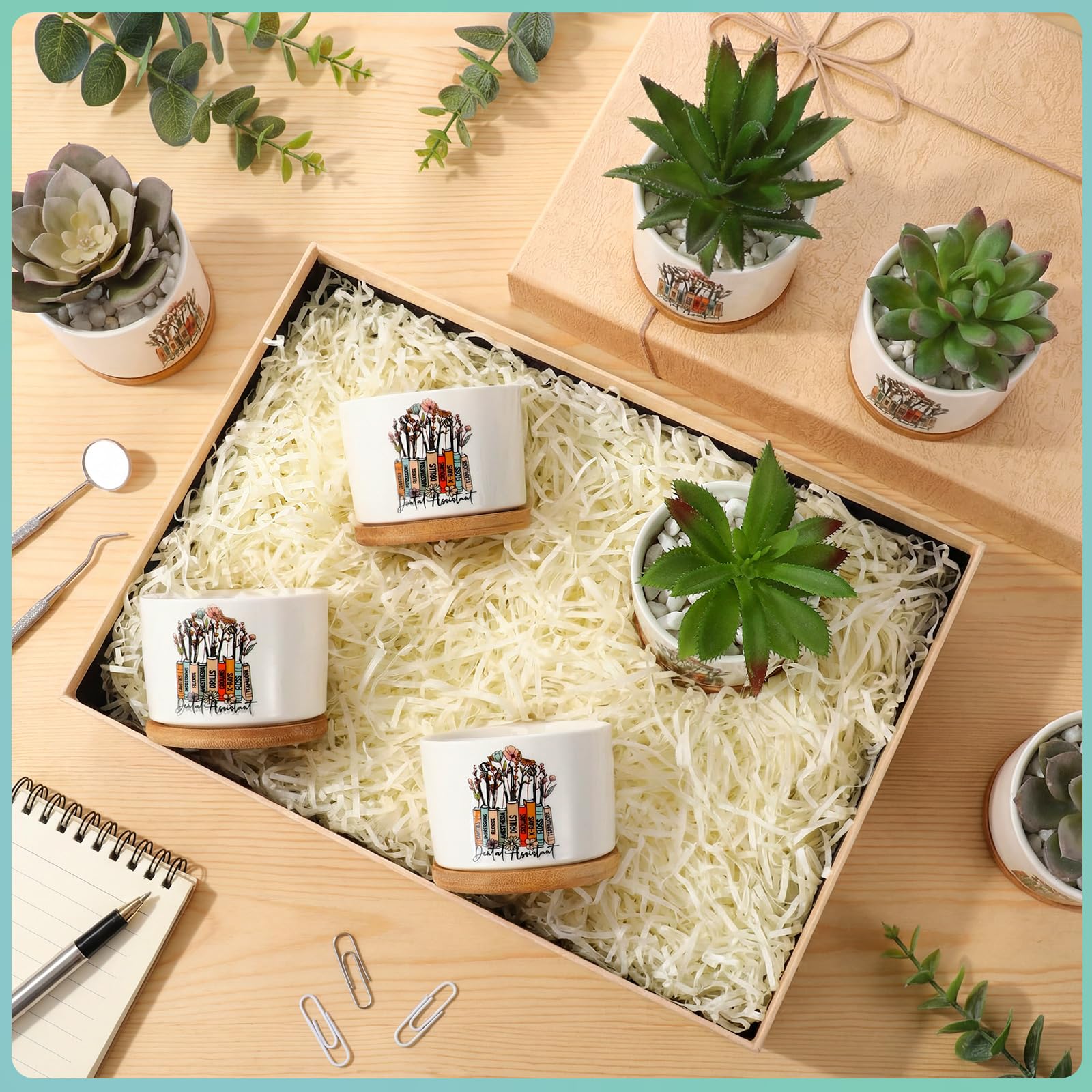 Havawish white ceramic pot for desk decor and small plant display