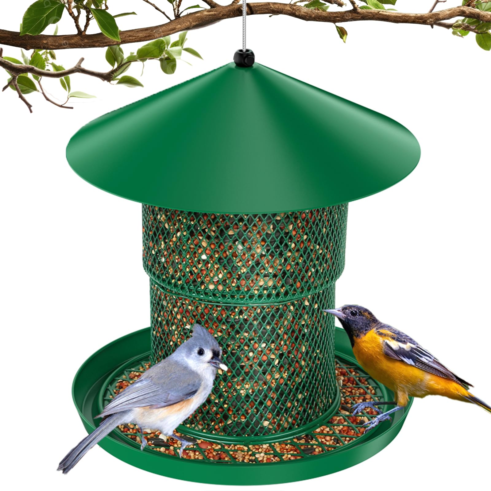 HAVENATURE outdoor hanging bird feeder shows tidy feeding with no ground mess