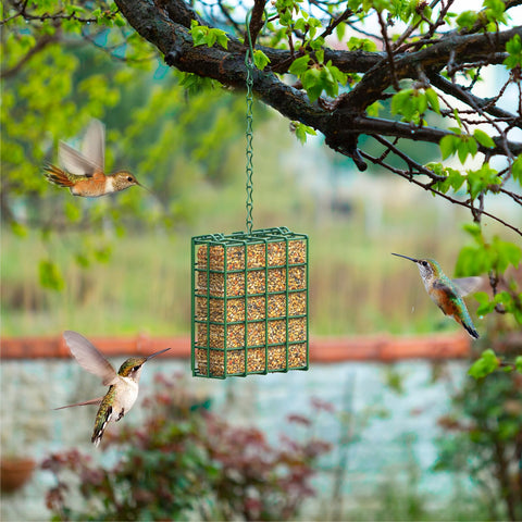 HAVENATURE feeder holds suet cakes, seed blocks, fruit for diverse feeding options