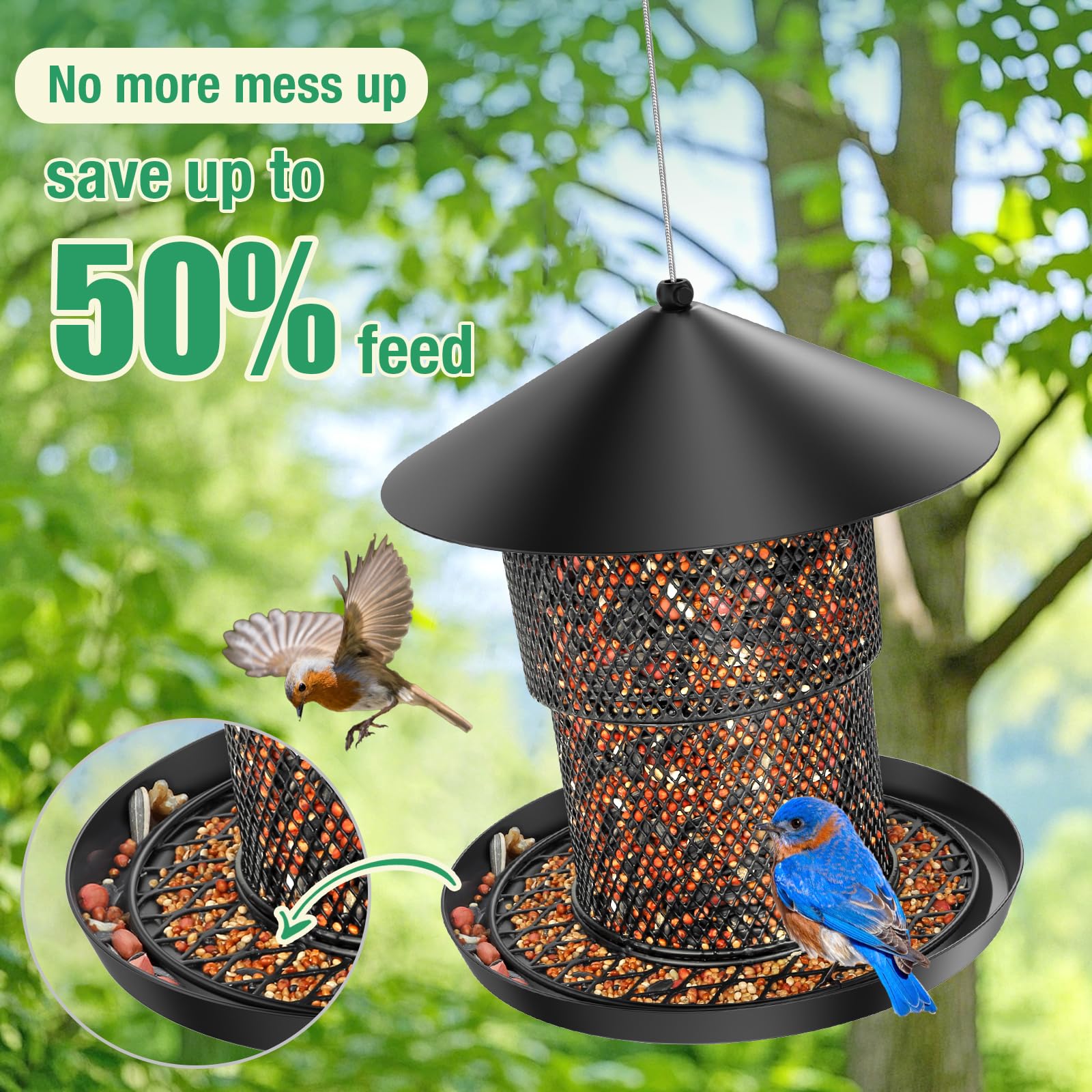 HAVENATURE large-capacity 3.7 lb seed feeder in action