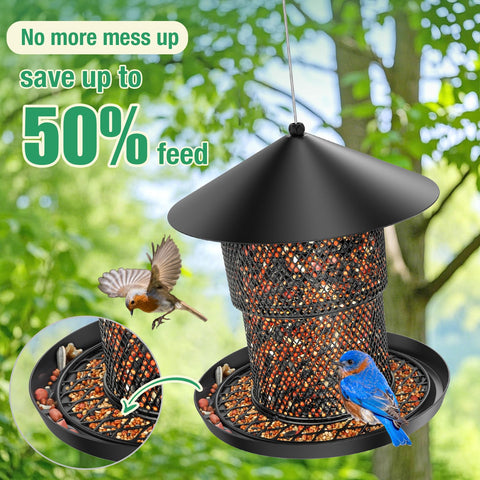 HAVENATURE large-capacity 3.7 lb seed feeder in action