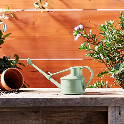Haws compact tool for succulents and seedlings in small pots