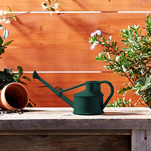 Haws compact watering can for indoor plant care routines