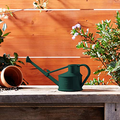 Haws compact watering can for indoor plant care routines
