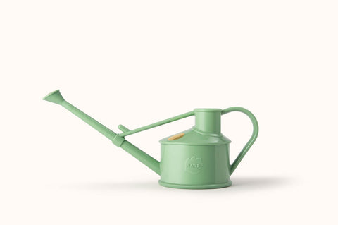 Haws sage green mini watering can with long spout for steady pours