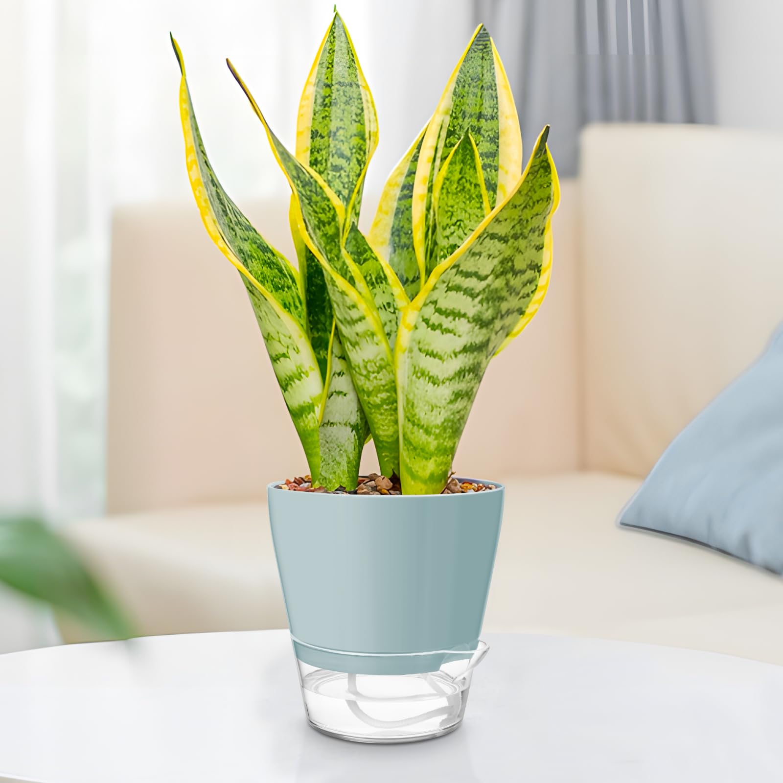 Hayder HDPE material ensures lightweight, durable pots for indoor and outdoor use.