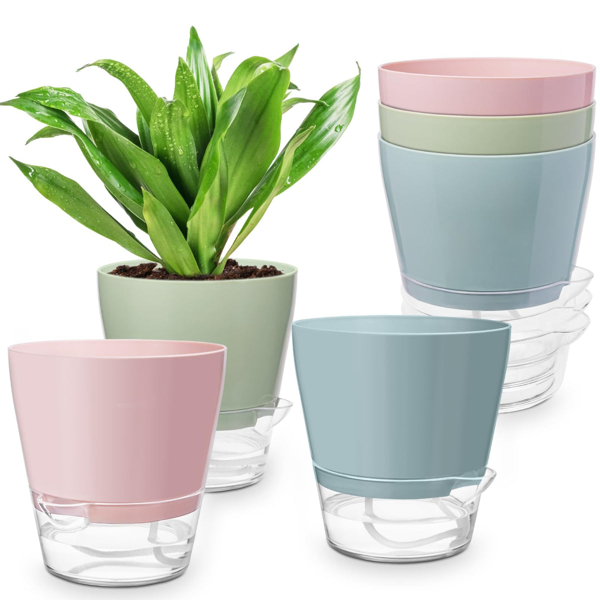 Hayder self-watering pot blue 6inch showcasing color option for indoor decor.