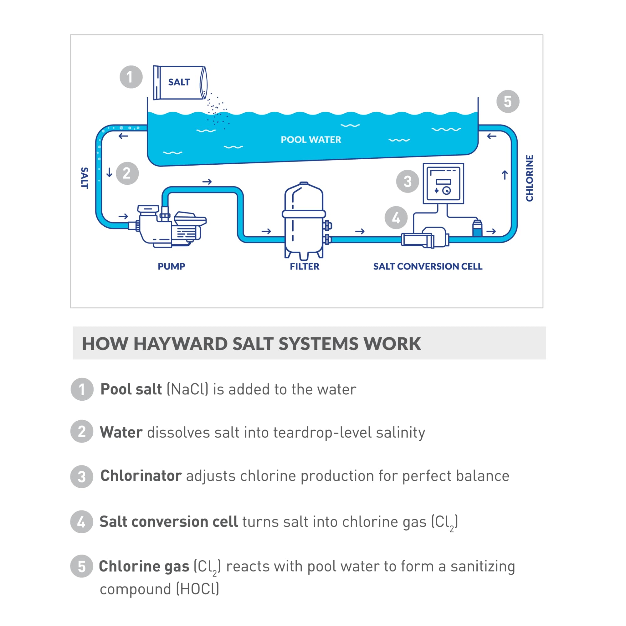 Hayward AquaRite chlorine-output control supports balanced pool chemistry.