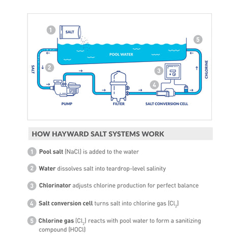 Hayward AquaRite chlorine-output control supports balanced pool chemistry.