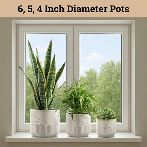 HB Design Co ceramic pot small 4-inch with drainage hole for compact plants