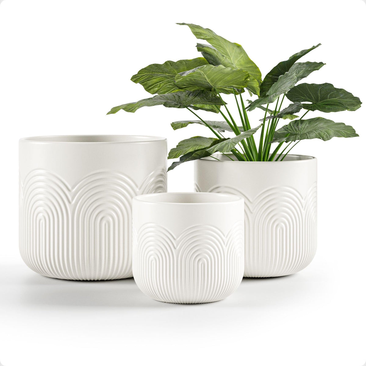 HB Design Co ceramic pot large 6-inch with drainage hole for healthy indoor plants
