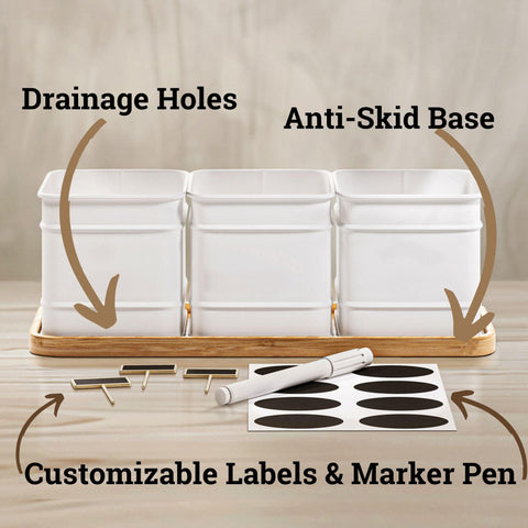 HB Design Co herb pots with drainage holes promote healthy root growth.