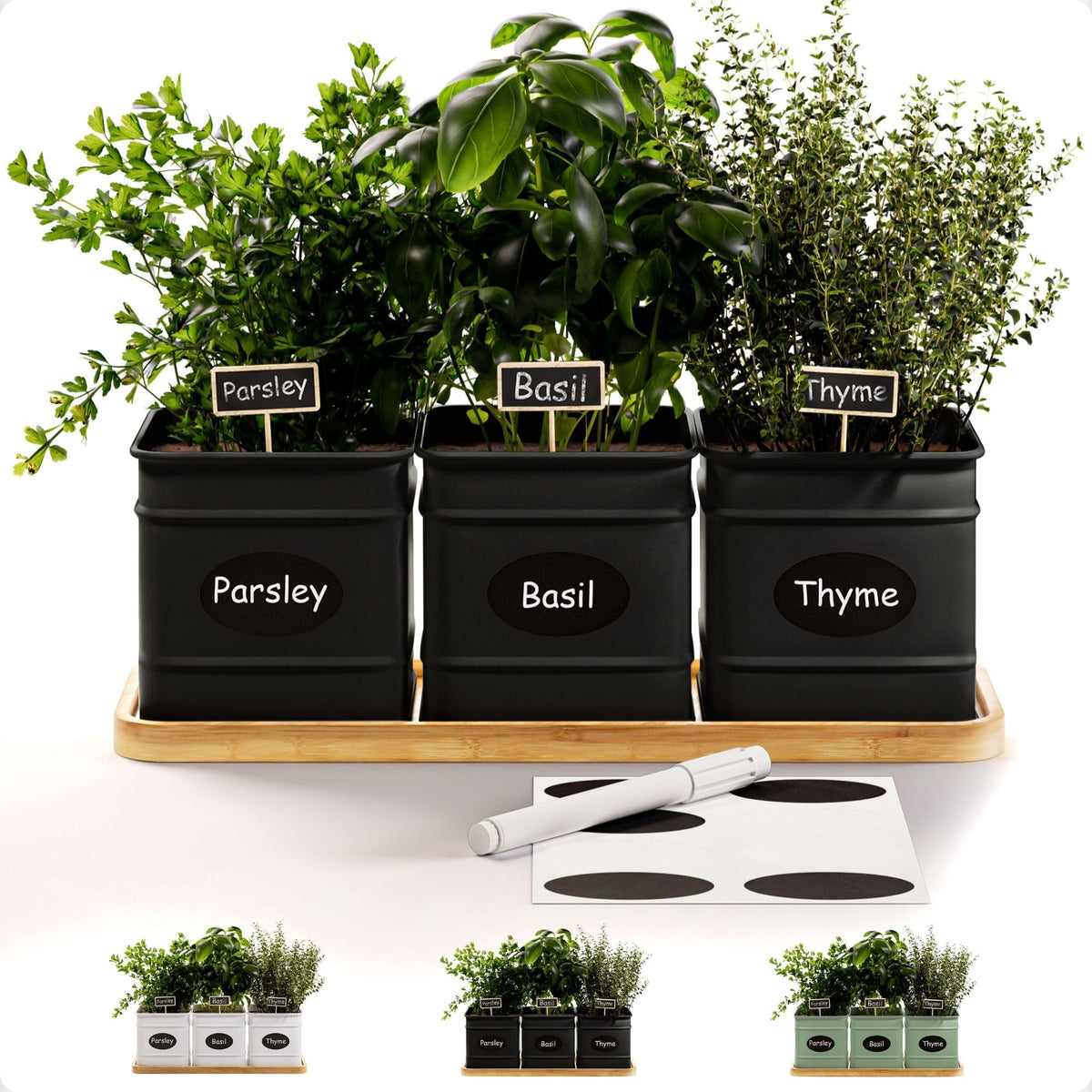 HB Design Co. Herb Planter Indoor with 3 iron pots and drainage holes for fresh herbs