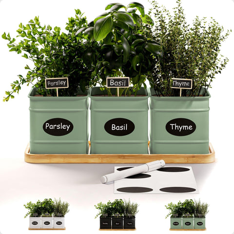 HB Design Co herb planter indoor with three pots for fresh herbs on your windowsill