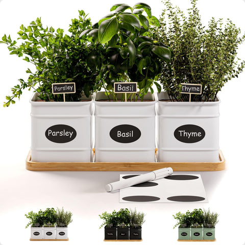 HB Design Co herb planter indoor: three iron pots with drainage for fresh herbs.