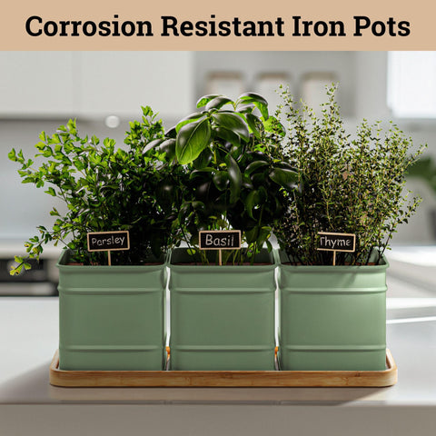 HB Design Co marker pen for quick labeling of fresh herbs