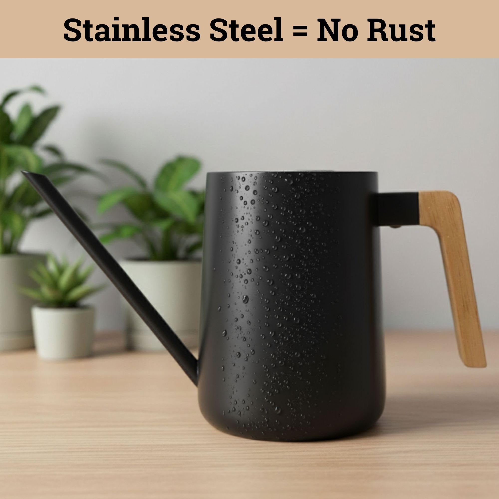 HB Design Co matte black finish adds decorative charm to indoor plant care.