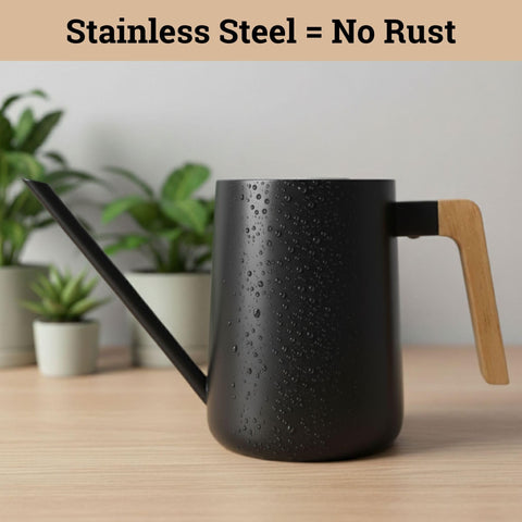HB Design Co matte black finish adds decorative charm to indoor plant care.