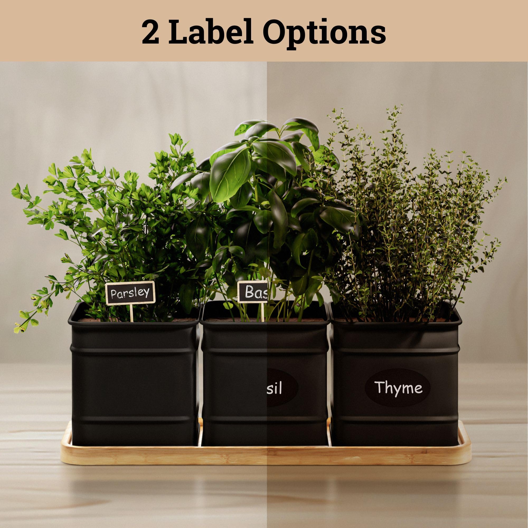 HB Design Co. Powder-coated iron pots with drainage holes for healthy indoor herbs