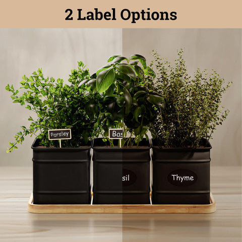 HB Design Co. Powder-coated iron pots with drainage holes for healthy indoor herbs
